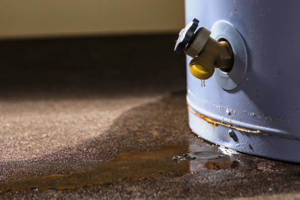 Best Flood damage cleanup  in Lake Wazeecha, WI