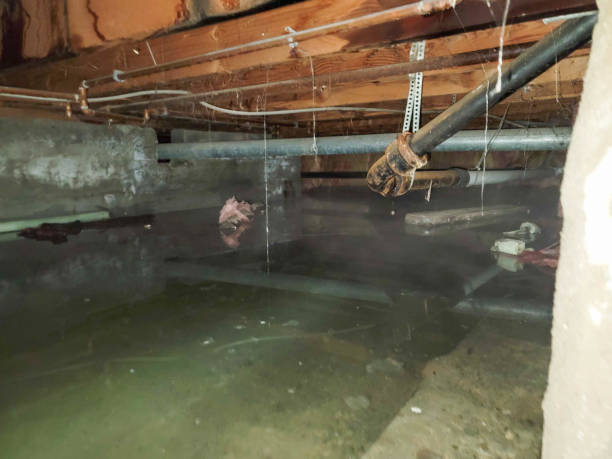  Lake Wazeecha, WI Water damage restoration Pros