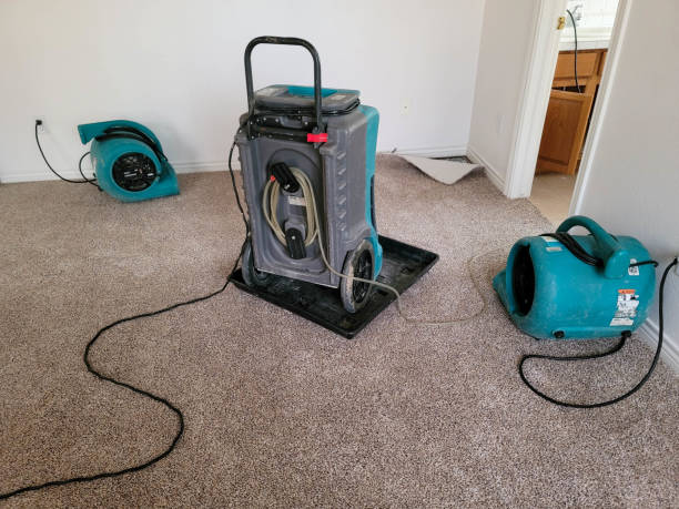 Best Emergency water damage restoration  in Lake Wazeecha, WI