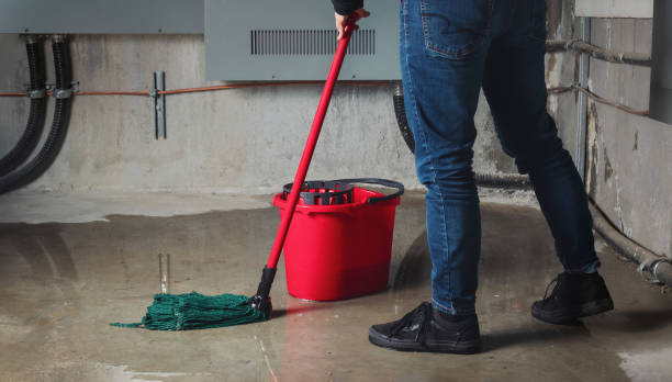 Best 24/7 water damage repair  in Lake Wazeecha, WI