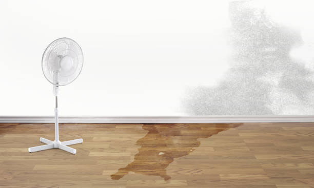 Sewage cleanup and water damage restoration in Lake Wazeecha, WI