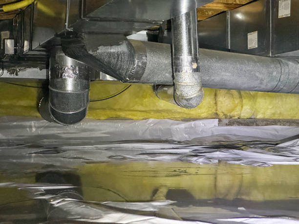 Best Carpet water damage restoration  in Lake Wazeecha, WI
