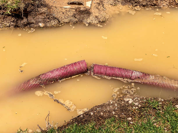 Best Residential water damage restoration  in Lake Wazeecha, WI