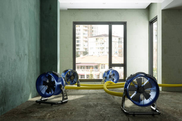 Best Water damage restoration near me  in Lake Wazeecha, WI